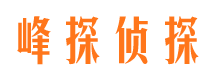 青铜峡侦探